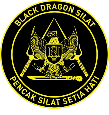 Black Dragon Silat